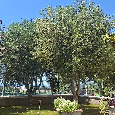 Villa Luiss Panorama Durrës 外观 照片