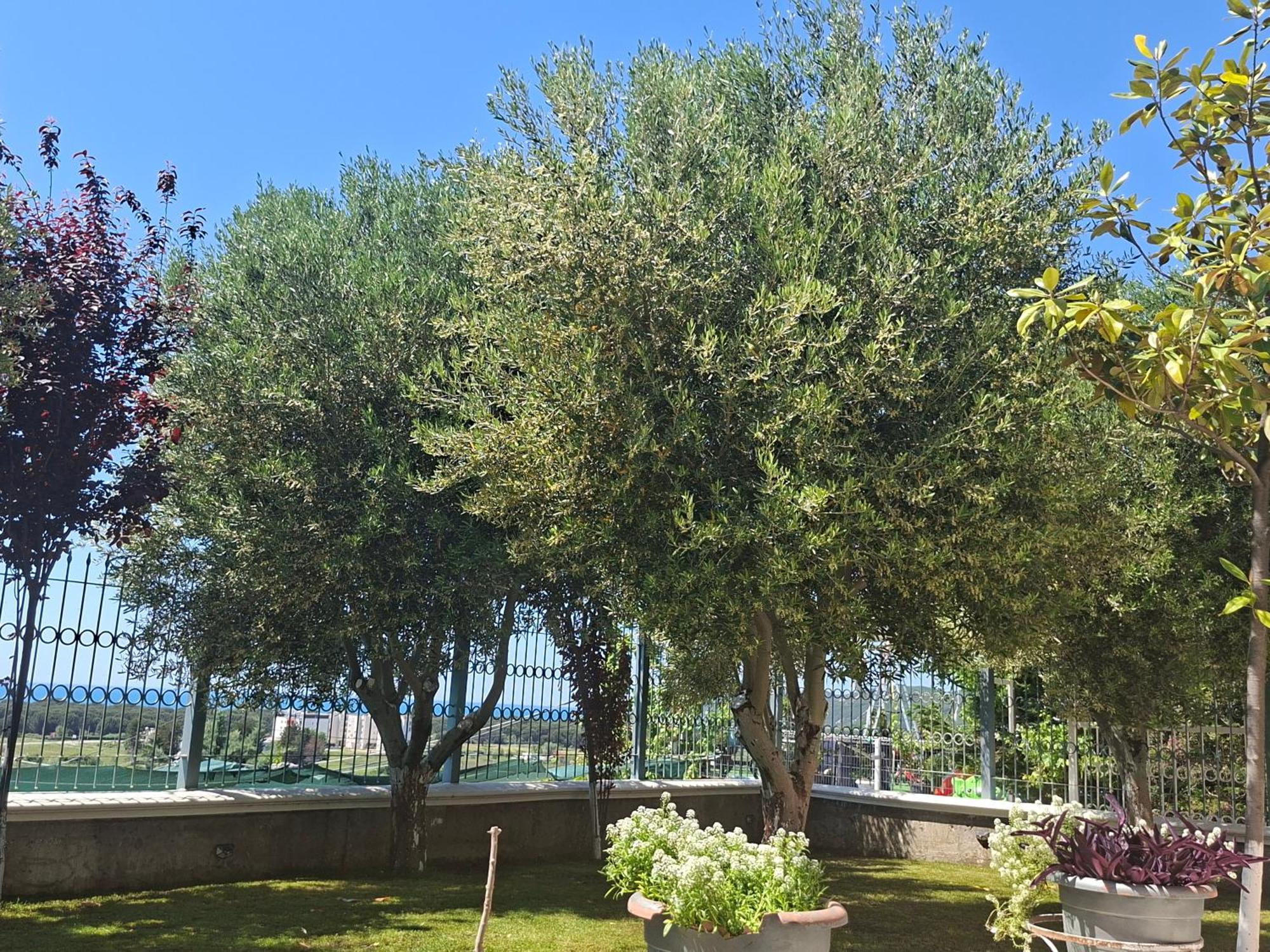 Villa Luiss Panorama Durrës 外观 照片